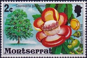 Stamp, Cannonball tree (Couroupita guianensis), Montserrat,  , Flowers, Plants (Flora), Trees