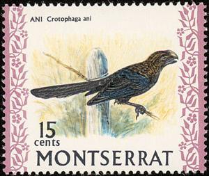 Stamp, Smooth-billed Ani (Crotophaga ani), Montserrat,  , Animals (Fauna), Birds