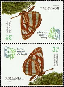 Tete-Beche, Common Glider (Neptis sappho), Romania,  , Animals (Fauna), Butterflies and Moths, Insects, Parks