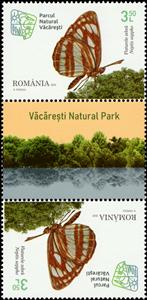 Gutter Pairs, Common Glider (Neptis sappho), Romania,  , Animals (Fauna), Butterflies and Moths, Insects, Parks