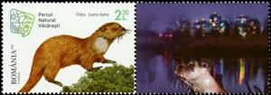 Stamp with Attached Label, Eurasian Otter (Lutra lutra), Romania,  , Animals (Fauna), Mammals, Otters, Parks