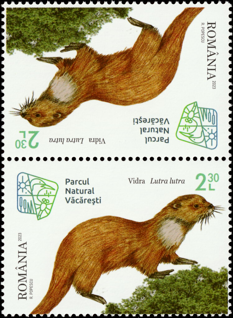 Eurasian Otter (Lutra lutra)