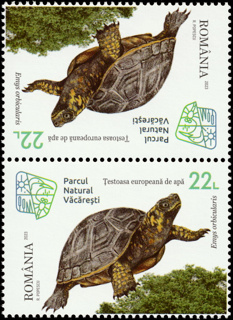 European Pond Turtle (Emys orbicularis)