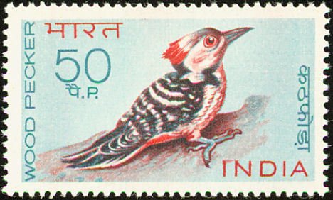 Stamp, Himalayan Woodpecker (Dendrocopos himalayensis), India,  , Birds, Animals (Fauna)