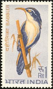Stamp, White-browed Scimitar Babbler (Pomatorhinus schisticeps), India,  , Birds, Animals (Fauna)
