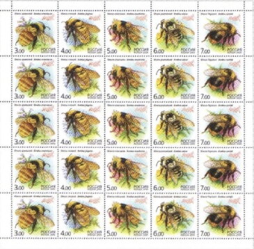 Fauna - Bumblebees