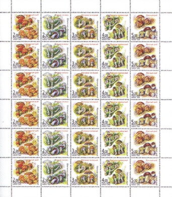 Flora - Edible and Poisonous Mushrooms