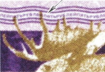 Stamp, Moose (Alces alces), Russia,  , Animals (Fauna), Elks, Mammals