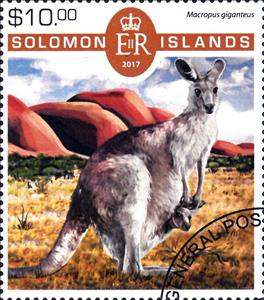 Stamp, Various Kangaroos, Solomon Islands,  , Animals (Fauna), Infant Animals, Kangaroos, Mammals, Marsupials