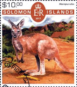 Stamp, Various Kangaroos, Solomon Islands,  , Animals (Fauna), Infant Animals, Kangaroos, Mammals, Marsupials