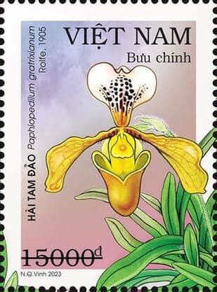 Paphiopedilum gratrixianum