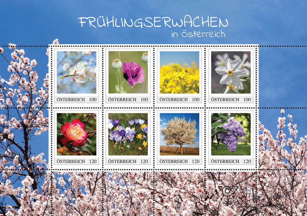 Flowers of Austria