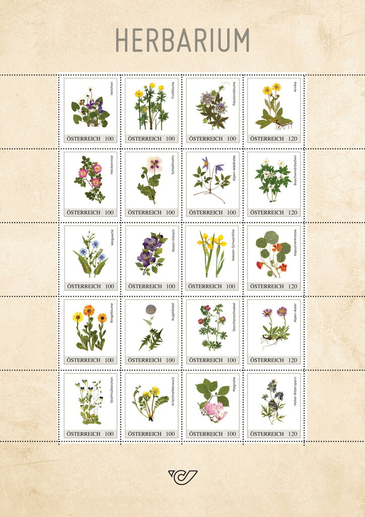 Herbarium Plants