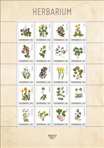 Mini Sheet, Herbarium Plants, Austria,  , Flowers, Plants (Flora)