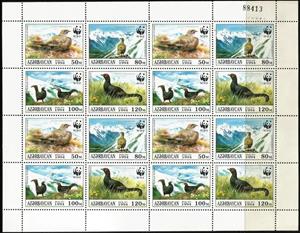 Full Pane, Caucasian Grouse (Lyrurus mlokosiewiczi), Azerbaijan,  , Animals (Fauna), Birds, WWF