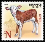 Stamp, Calf, Belarus,  , Animals (Fauna), Bulls and Cows, Infant Animals, Mammals