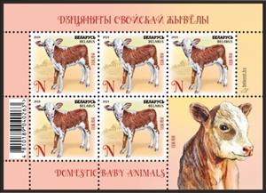 Full Pane, Calf, Belarus,  , Animals (Fauna), Bulls and Cows, Infant Animals, Mammals