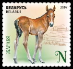Stamp, Foal, Belarus,  , Animals (Fauna), Horses, Infant Animals, Mammals