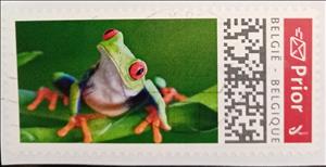 Stamp, Frog, Belgium,  , Amphibians, Animals (Fauna), Frogs
