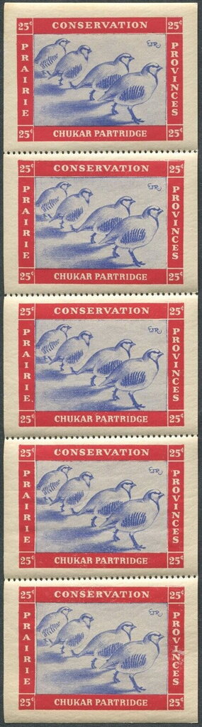 Full Pane, Chukar partridge (Alectoris chukar), Canada,  , Animals (Fauna), Birds