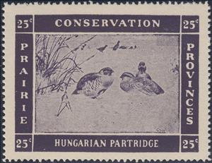 Stamp, Hungarian partridge (Perdix perdix), Canada,  , Animals (Fauna), Birds