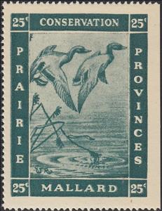 Stamp, Mallard (Anas platyrhynchos), Canada,  , Animals (Fauna), Birds, Ducks