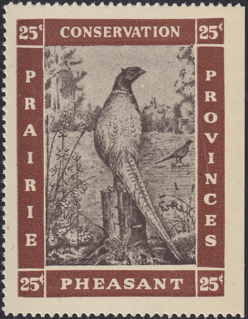 Pheasant
