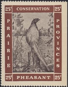 Stamp, Pheasant, Canada,  , Animals (Fauna), Birds, Pheasants