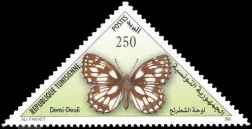 Marbled White (Melanargia galathea)