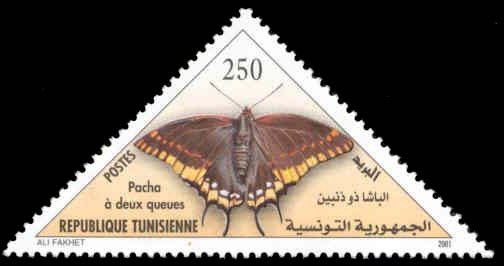 Two-tailed Pasha (Charaxes jasius)