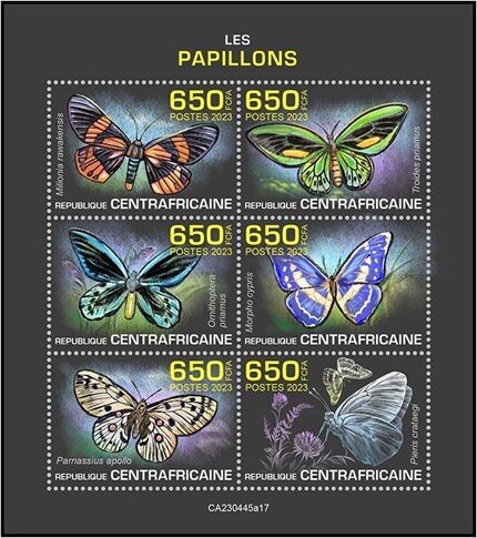 Butterflies