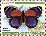 Stamp, Callicore texa titania, Central African Republic,  , Animals (Fauna), Butterflies and Moths, Insects