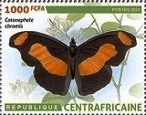 Stamp, Cloud forest catone (Catonephele chromis), Central African Republic,  , Animals (Fauna), Butterflies and Moths, Insects