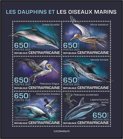 Dolphins and Marine Birds