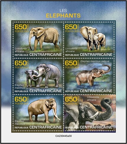 Elephants of the World