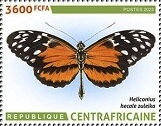 Heliconius hecale zuleika