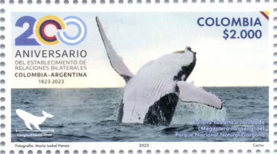 Humpback Whale (Megaptera novaeangliae)