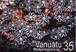 Stamp, Green Star Polyp (Pachyclavularia sp.), Vanuatu,  , Corals and Sponges, Sea Life, Animals (Fauna)