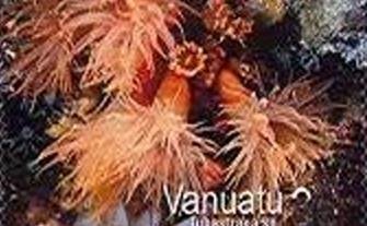 Tube Coral (Tubastrea sp.)
