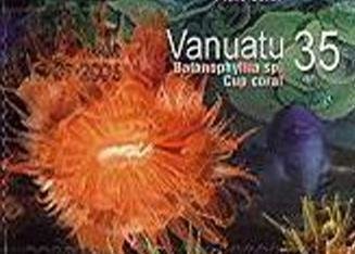 Scarlet Coral (Balanophyllia sp.)