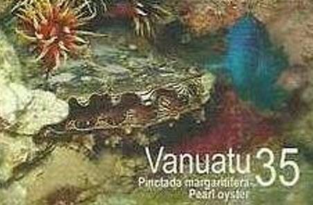 Black-lip Pearl Oyster (Pinctada margaritifera)