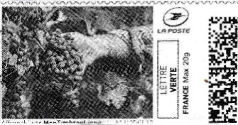 Stamp, Black Grapes. Winemaker in black, France,  , Fruits and Berries, Plants (Flora), Viticulture