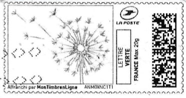 Dandelion Seed Head in black