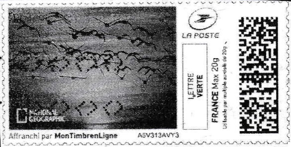 Stamp, Flight of Birds at Sunset in black, France,  , Animals (Fauna), Birds, Sunsets / Sunrises