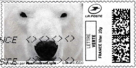 Polar Bear 2