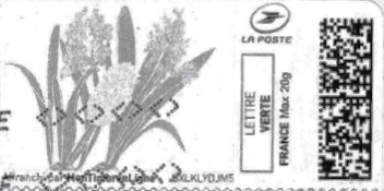 Stamp, Spring. Pink and Blue Hyacinths in grey, France,  , Flowers, Plants (Flora), Spring