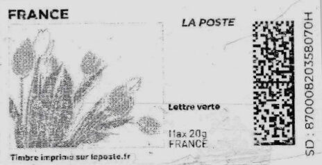 Stamp, Spring. Pink Tulips. Redesign without Laposte logo, France,  , Flowers, Spring, Tulips