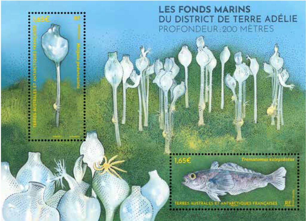 The Seabed of Adélie Land