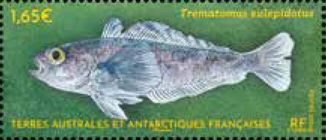 The Seabed of Adélie Land