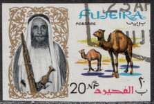 Dromedary (Camelus dromedarius)